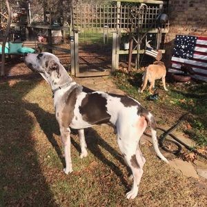 Meet your Posher, Kyle-liz